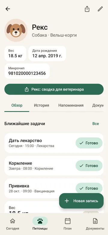 Профиль питомца в PetCare: хаски Boro, номер микрочипа и ближайшие задачи
